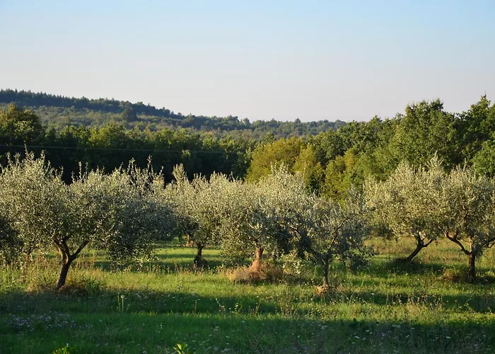 Villa Olivetta By Istrian Country Houses