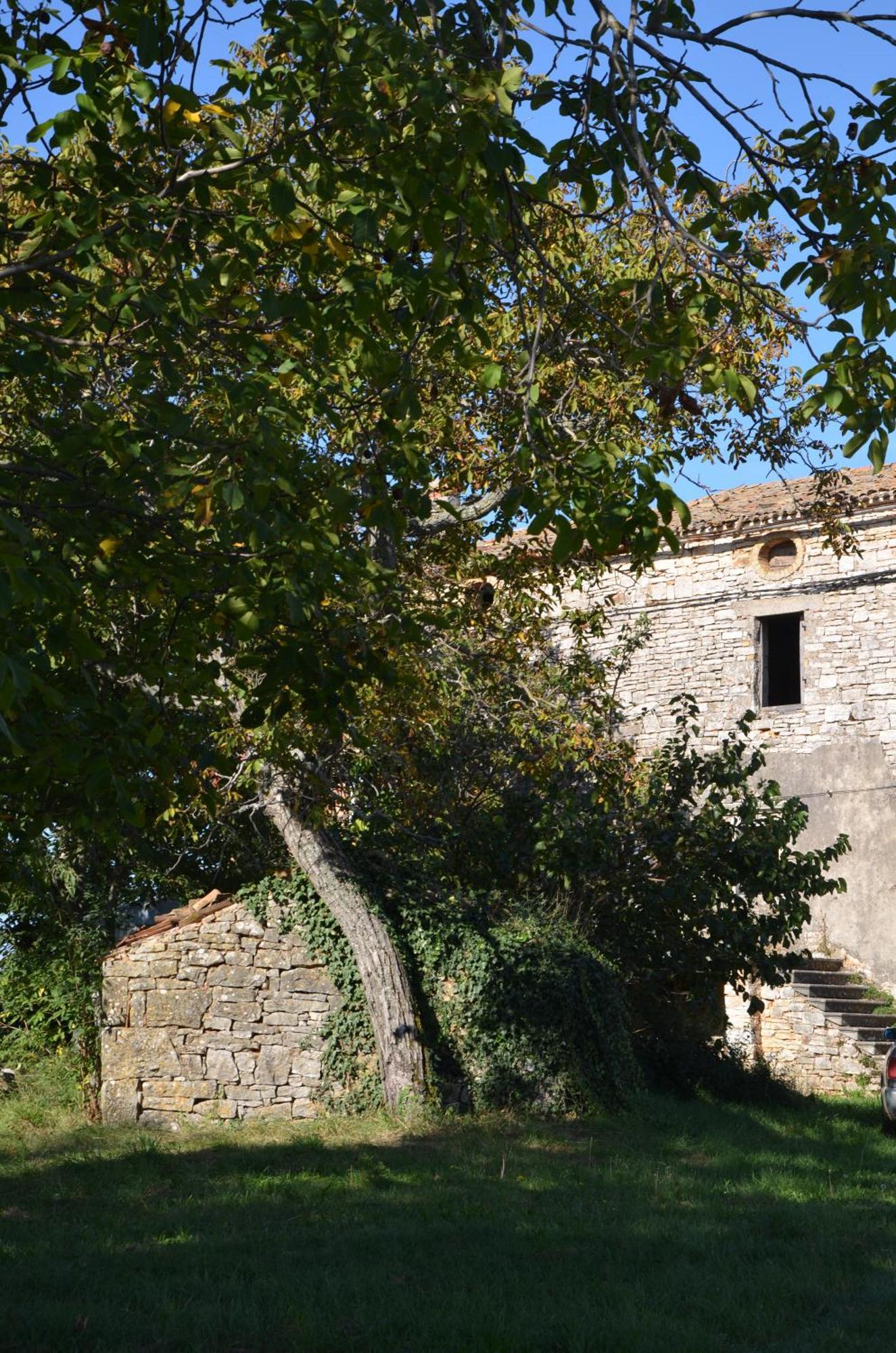 Villa Olivetta By Istrian Country Barat (Porec)