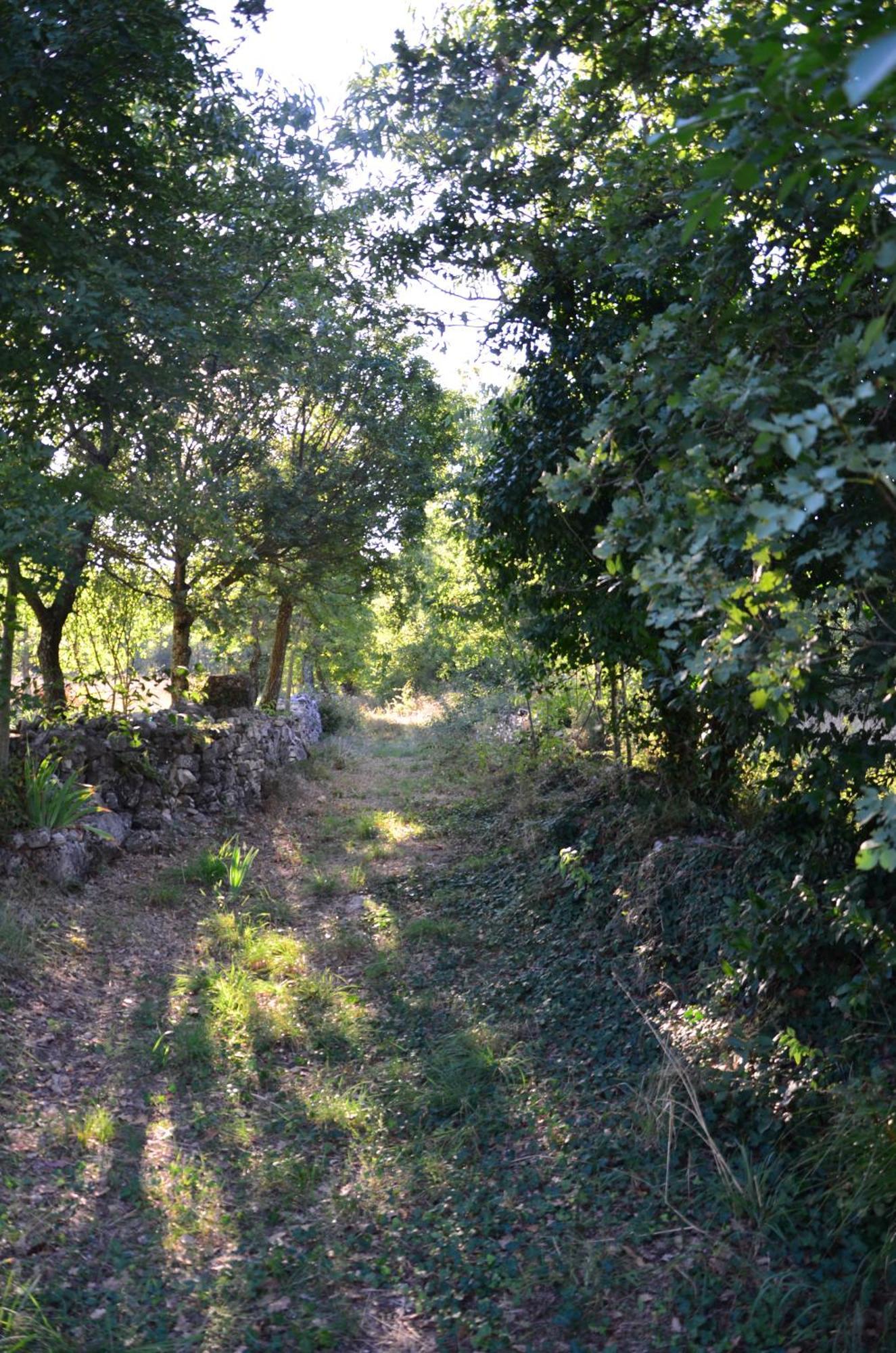 Villa Olivetta By Istrian Country Barat (Porec)