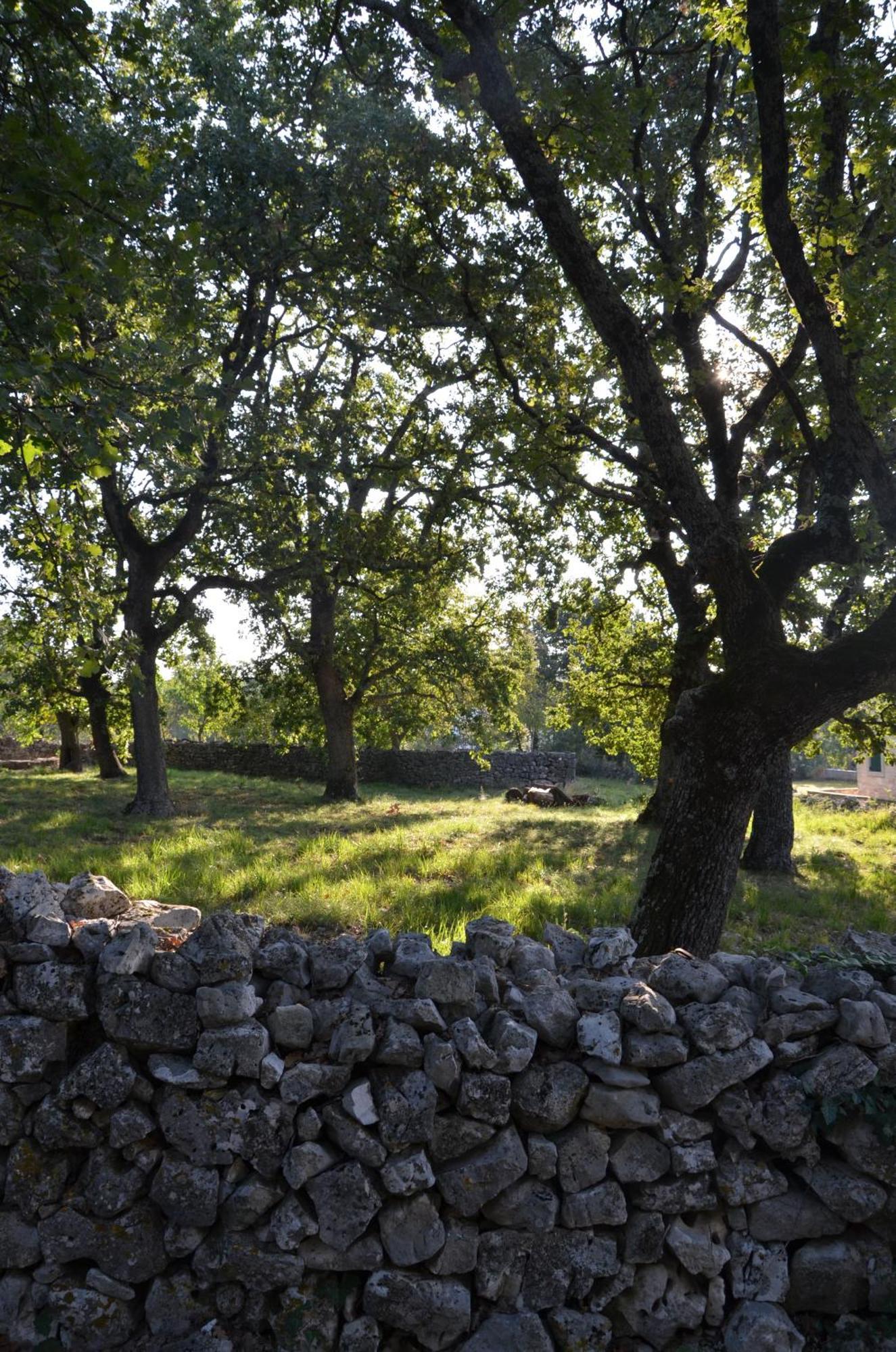 Villa Olivetta By Istrian Country Barat (Porec)