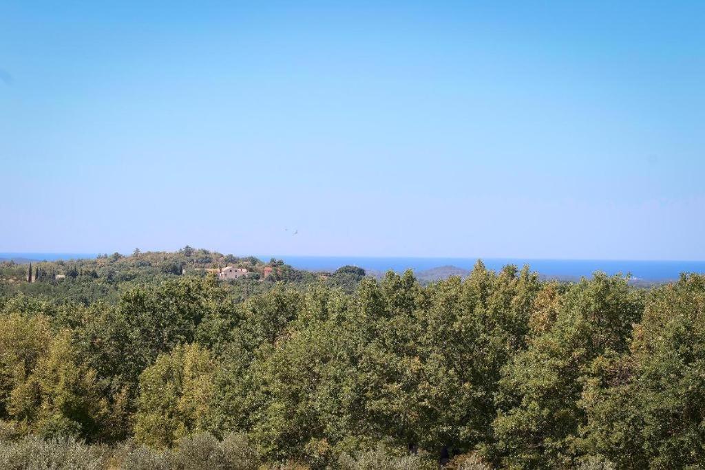 Olivetta By Istrian Country Villa Barat (Porec)