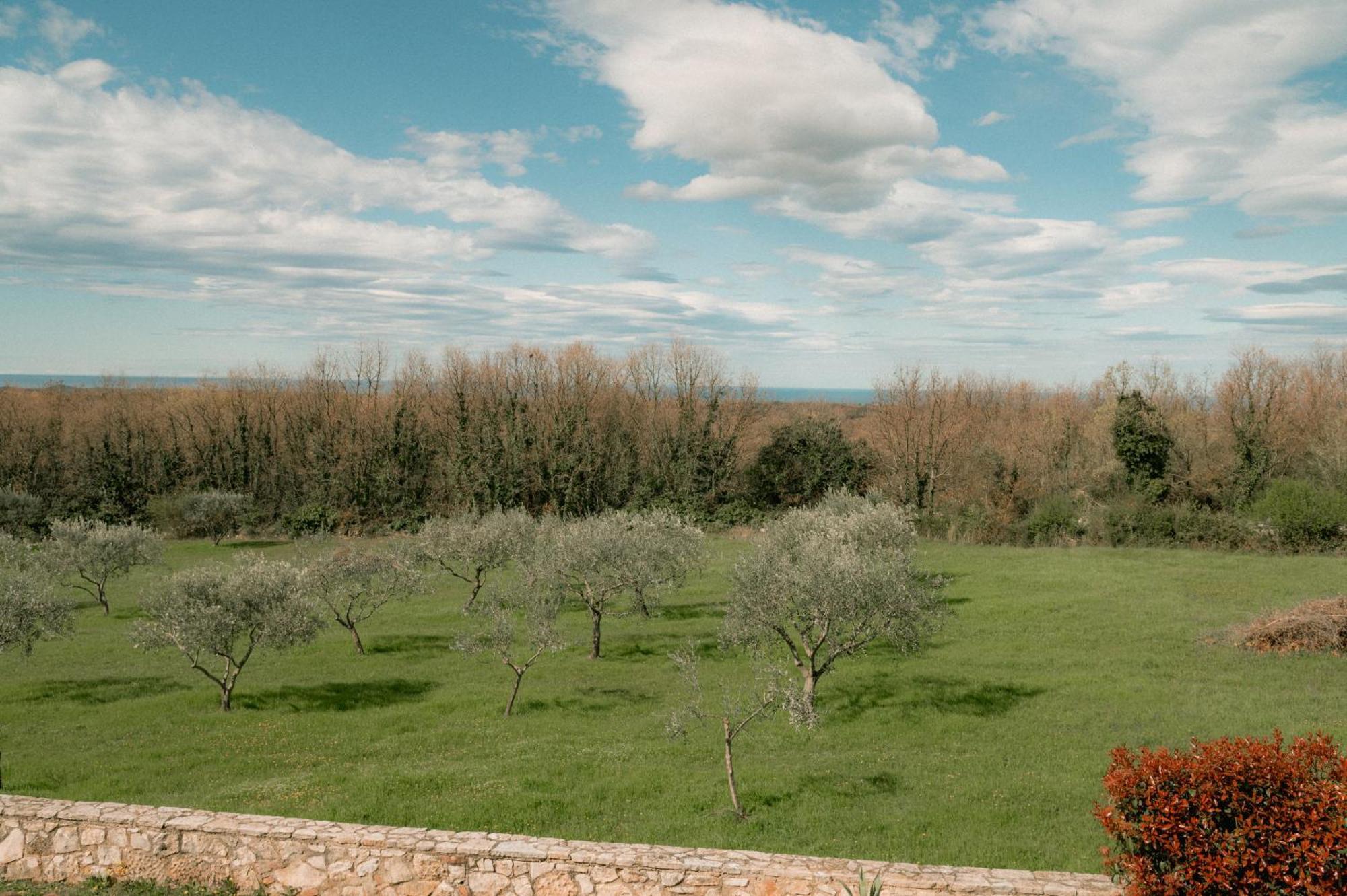 Villa Olivetta By Istrian Country Barat
