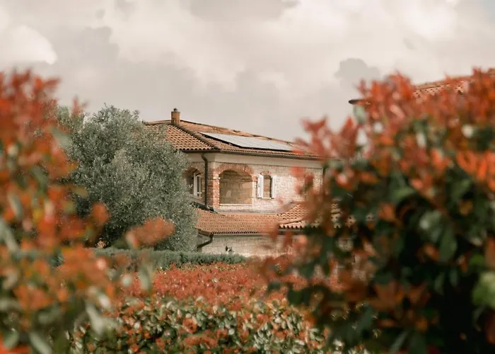 Villa Olivetta By Istrian Country Houses